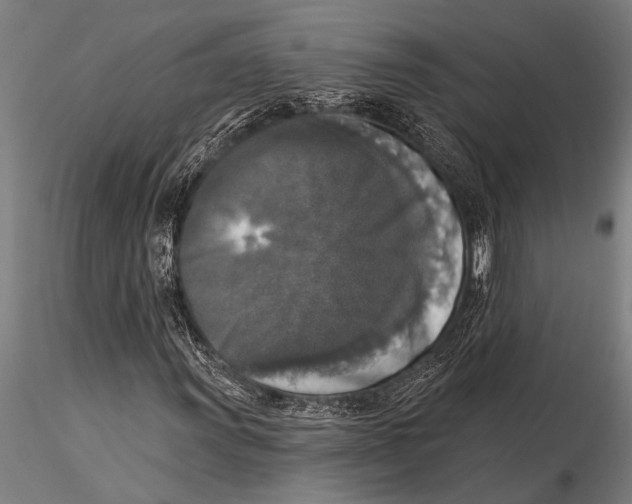 X0000116031011200912111410