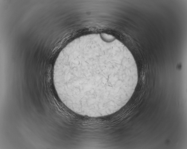 X0000116031012200912111410