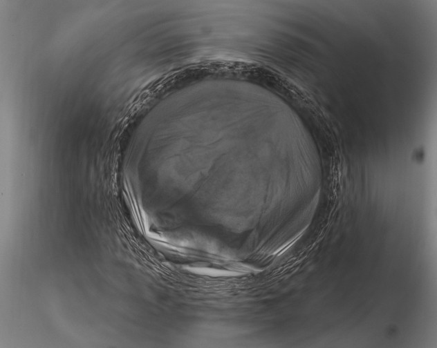 X0000116031013200912111410