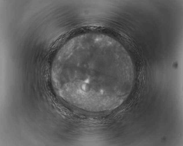 X0000116031014200912111411