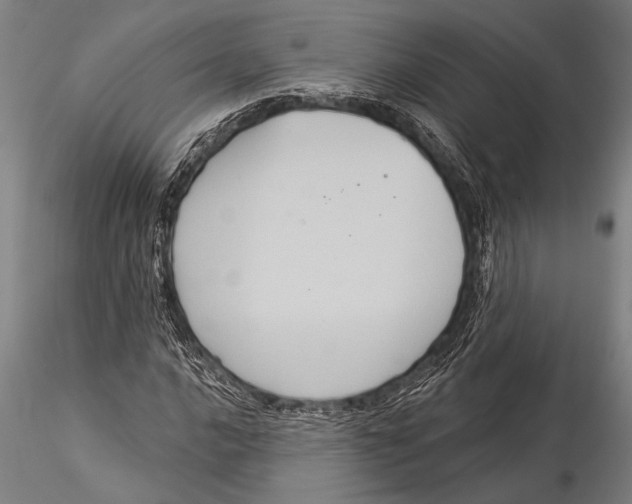 X0000116031016200912111411