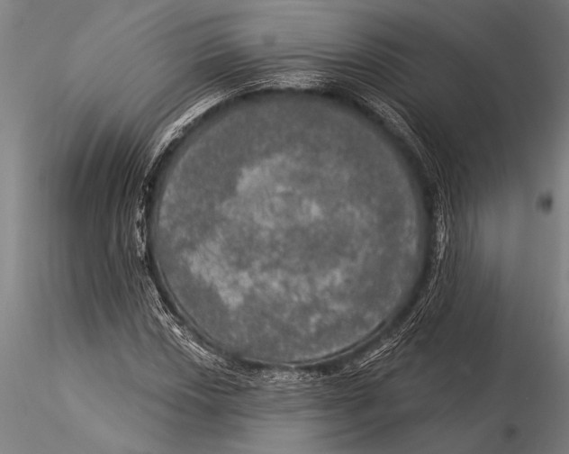 X0000116031018200912111411