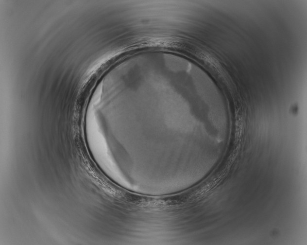 X0000116031019200912111411