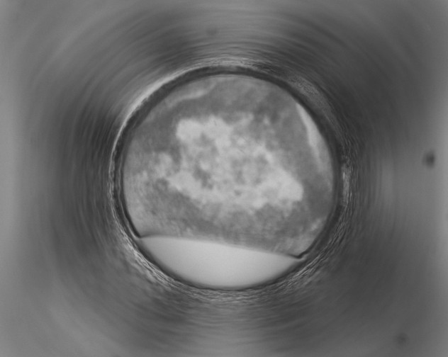 X0000116031020200912111411