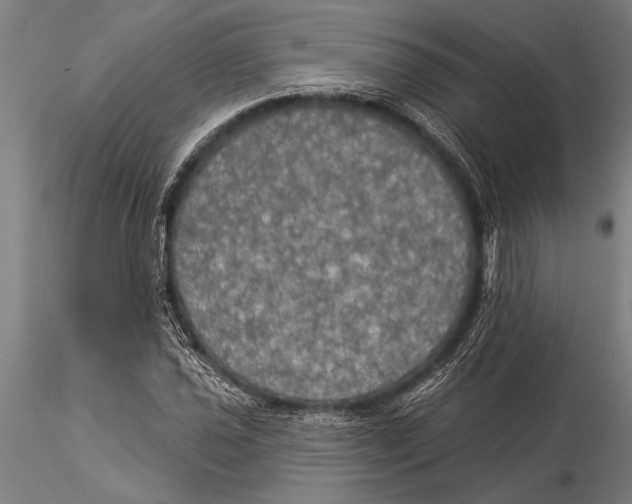 X0000116031021200912111411