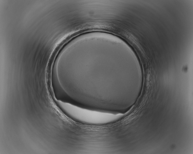 X0000116031024200912111411