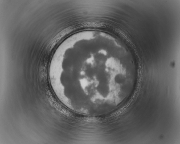 X0000116031025200912111411