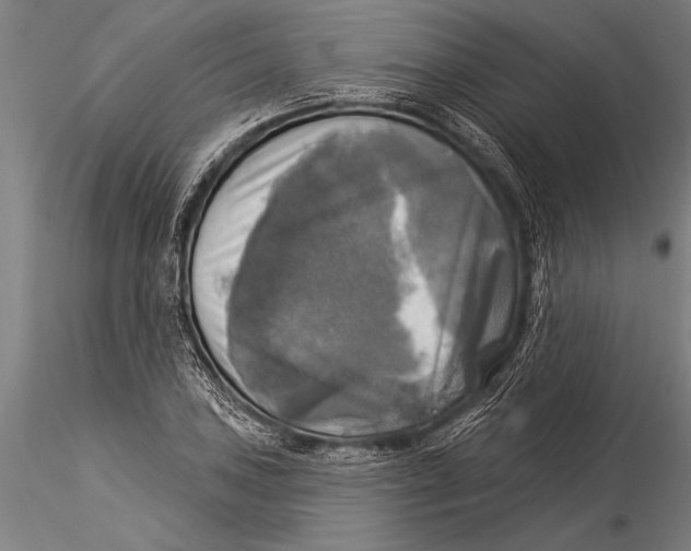 X0000116031027200912111411