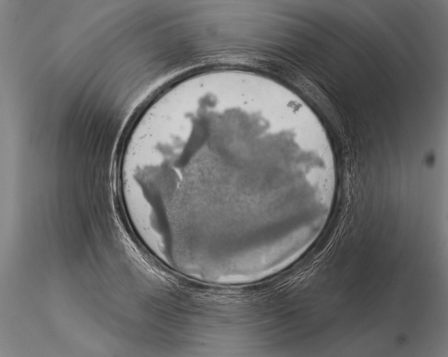 X0000116031028200912111411