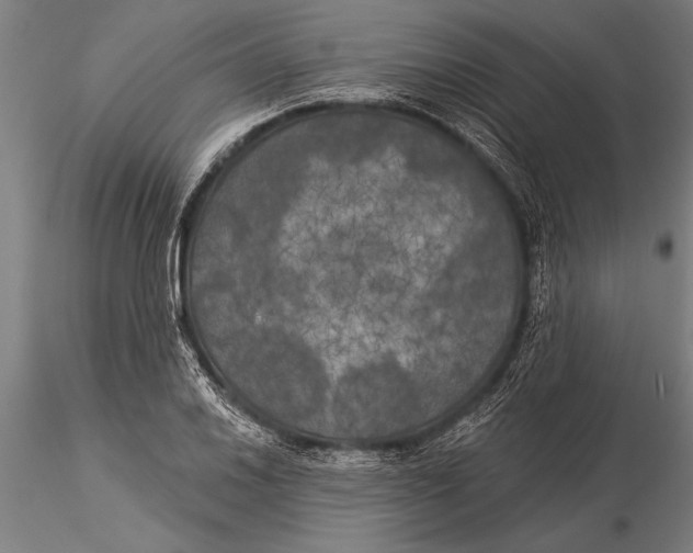 X0000116031030200912111411