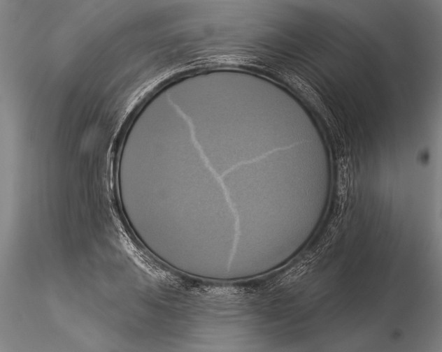 X0000116031031200912111411