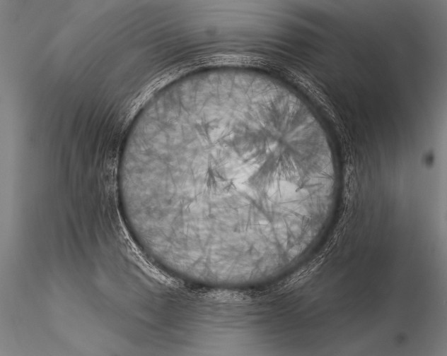 X0000116031033200912111411