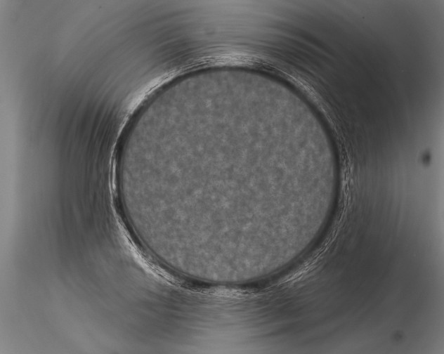 X0000116031034200912111411