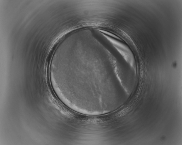 X0000116031035200912111411