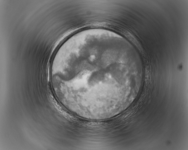 X0000116031036200912111411