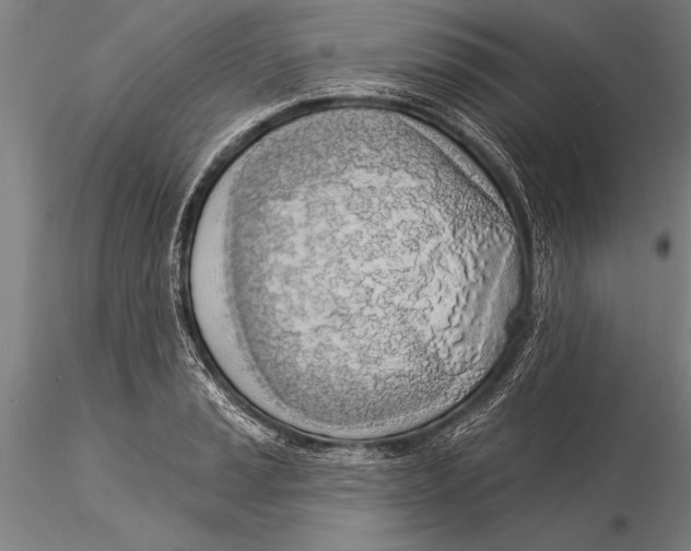 X0000116031037200912111411