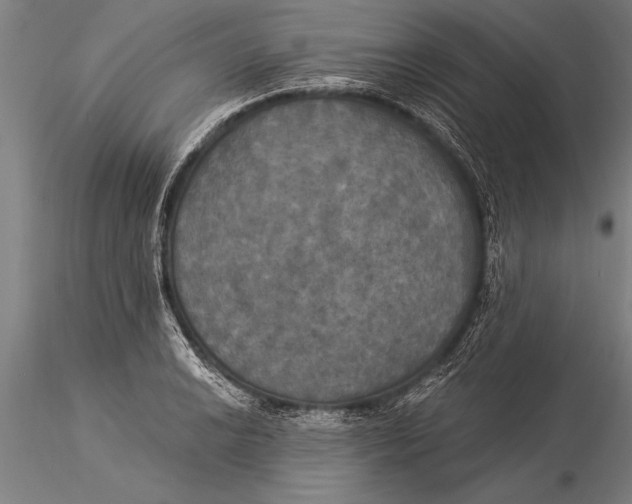 X0000116031038200912111411