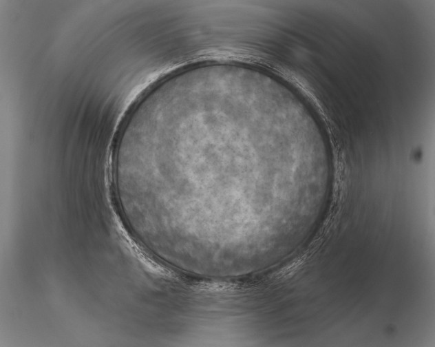 X0000116031040200912111411