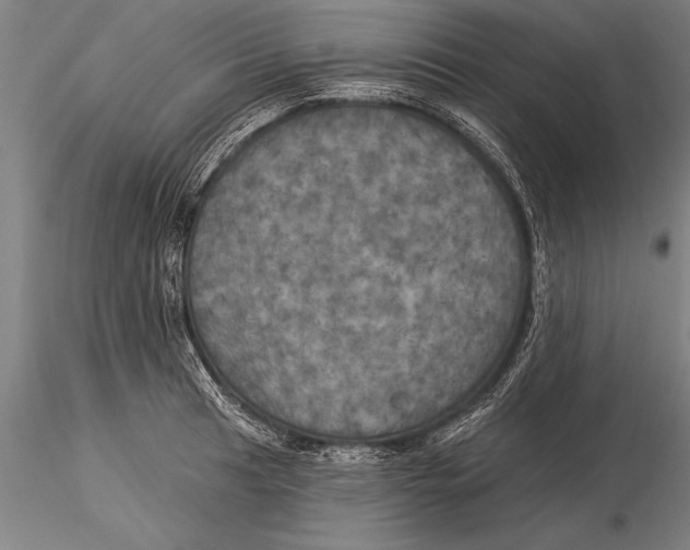 X0000116031041200912111411