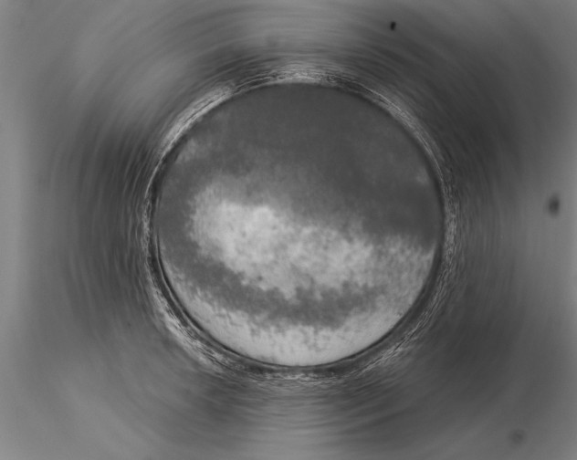 X0000116031042200912111411