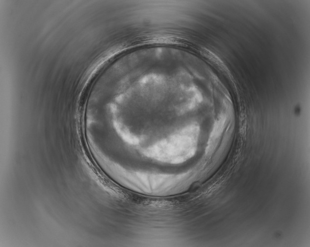 X0000116031043200912111411