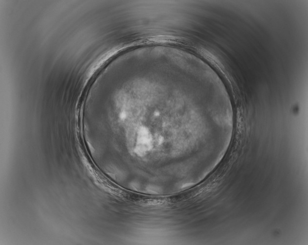 X0000116031047200912111411