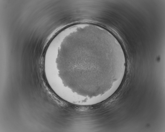 X0000116031048200912111411