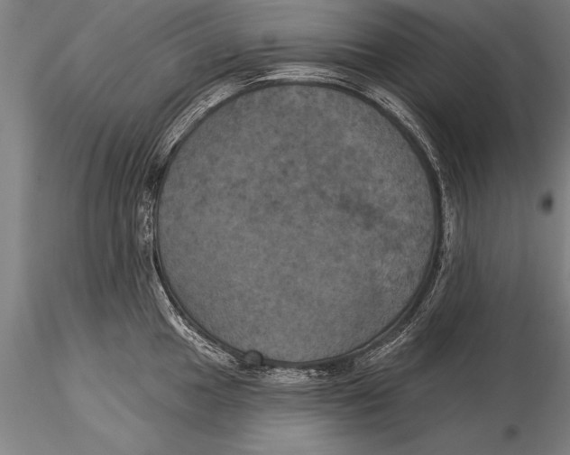 X0000116031049200912111411