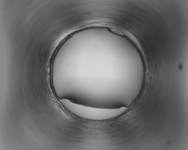 X0000116031051200912111411