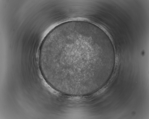 X0000116031054200912111411