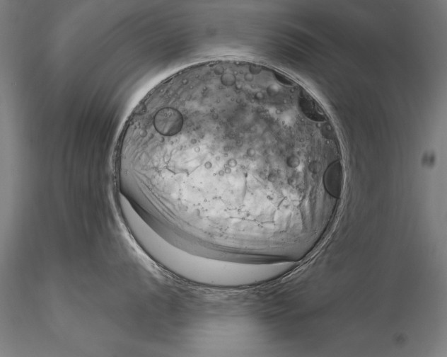 X0000116031056200912111411