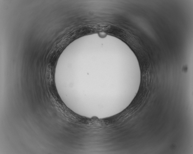 X0000116031058200912111410