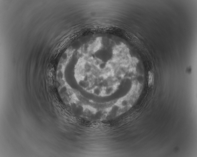 X0000116031059200912111410