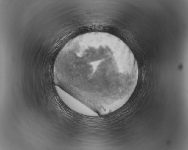 X0000116031060200912111410