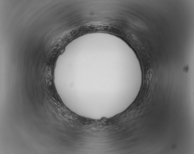 X0000116031062200912111410