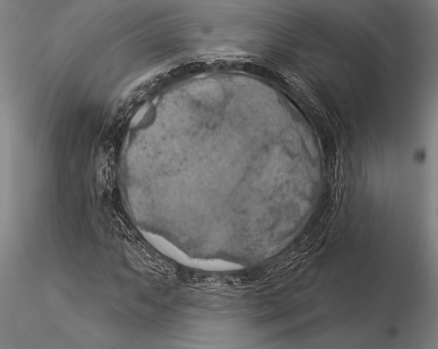 X0000116031063200912111410