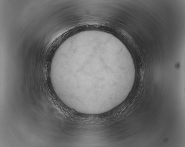 X0000116031064200912111410