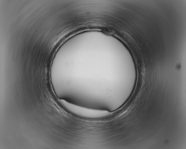 X0000116031065200912111410