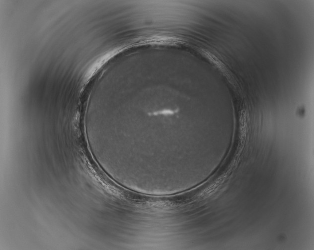 X0000116031066200912111410