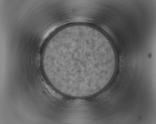 X0000116031067200912111410