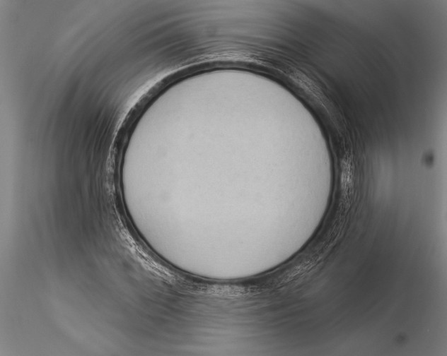 X0000116031068200912111410