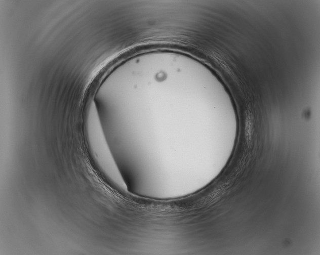 X0000116031069200912111410