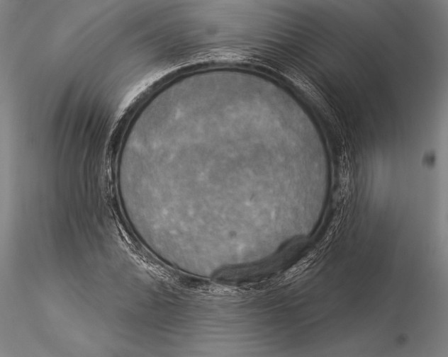 X0000116031070200912111410