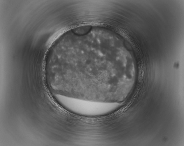 X0000116031071200912111410