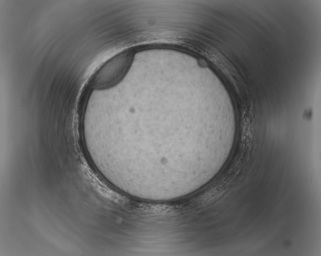 X0000116031072200912111410