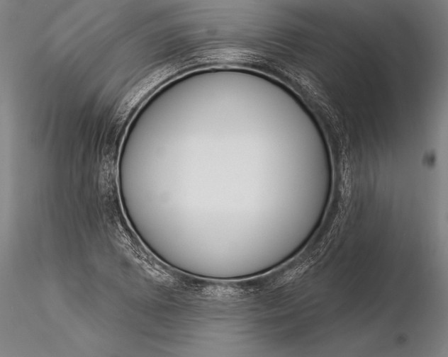 X0000116031073200912111410