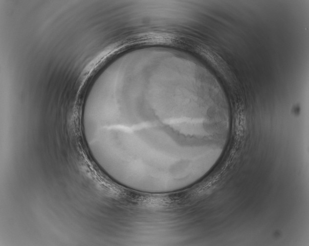 X0000116031074200912111410