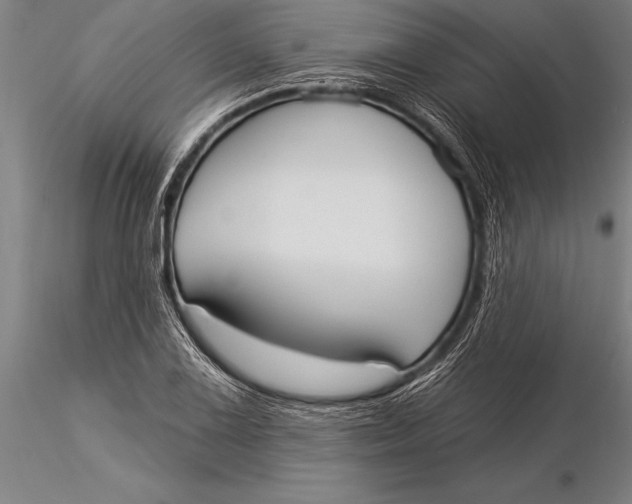 X0000116031075200912111410