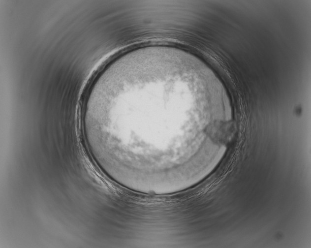 X0000116031076200912111410