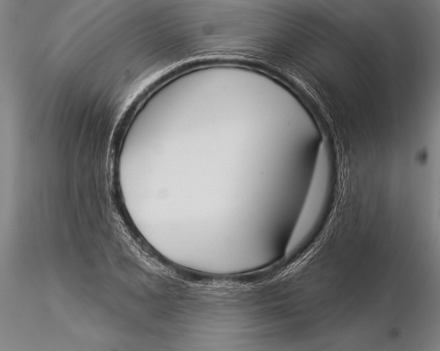 X0000116031077200912111410